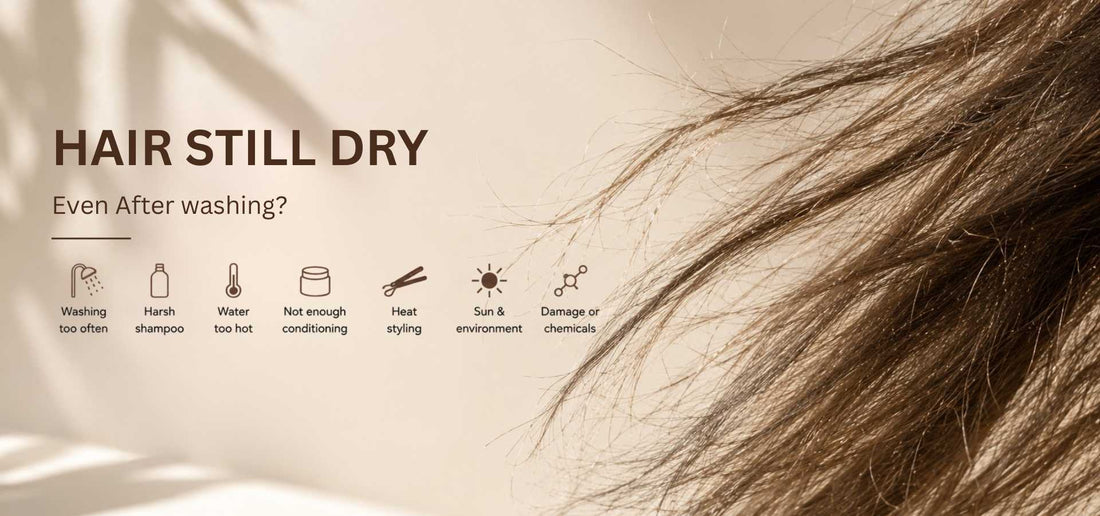 slider image slider_item_kFXVer